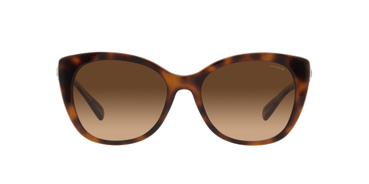 COACH Sunglasses HC 8365 U 574274 Ch566 Tortoise/Transparent B