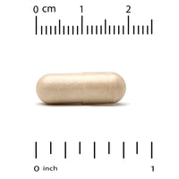 Thumbnail for California Gold Nutrition, EuroHerbs™, Ginkgo Biloba Extract, Euromed Quality, 120 mg, 180 Veggie Capsules