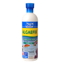 Thumbnail for API MARINE ALGAEFIX Algae Control 16-Ounce Bottle
