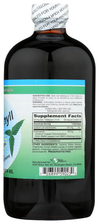Thumbnail for World Organic Chlorophl Mint 50mg