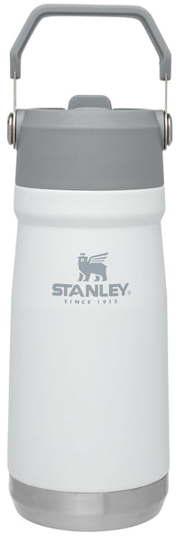 STANLEY IceFlow Flip Straw Water Bottle 17 oz | Built-In Straw for Travel and Sports | Lightweight and Leak Resistant | Insulated Stainless Steel | BPA-Free | Polar