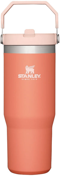 Thumbnail for STANLEY IceFlow Stainless Steel Tumbler - Vacuum Insulated Water Bottle for Home, and Car Reusable Cup with Straw Leak Resistant Flip Cold for 12 Hours or Iced for 2 Days, Grapefruit, 30 OZ / 0.89 L