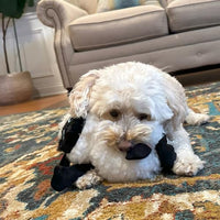 Thumbnail for SPOT Baa Baa Black Sheep Plush Dog Toy - Cute and Cuddly Fleece Toy with Squeaker for Medium to Large Dogs and Puppies, 13in Black and White Lamb