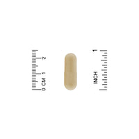 Thumbnail for Fungiology, Cordyceps Complex, 90 Veggie Capsules, California Gold Nutrition