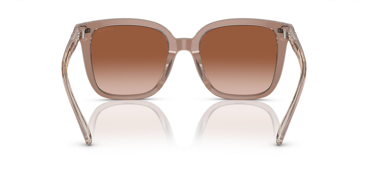 Coach HC8381F Low Bridge Fit Sunglasses, Transparent Brown/Grey/Brown Gradient, 56 mm