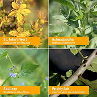 Thumbnail for Herb Pharm Good Mood Liquid Herbal Formula with St. John's Wort for Healthy Emotional Balance - 1 Ounce