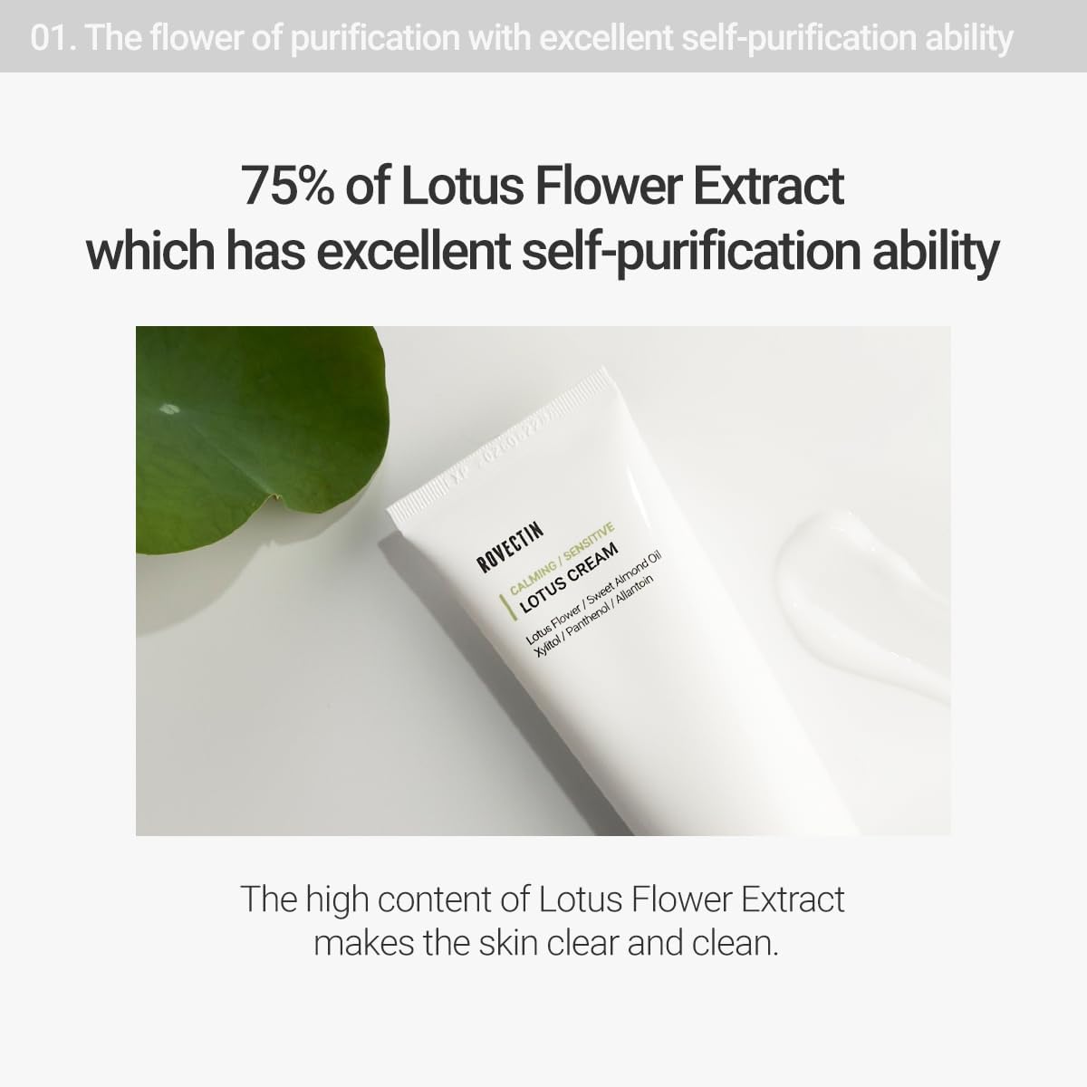 ROVECTIN Calming Lotus Water Cream (2.1 fl.oz, 60ml) Moisturizer + Aqua Cleansing Gel (5.9 fl. oz, 175ml) pH| Bundle [2 Pack]