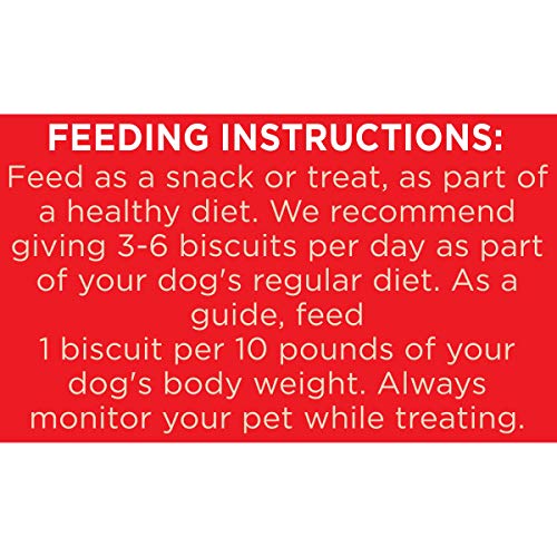 Milk-Bone Dog Treats for Medium Dogs, 24 Ounce | Pack of 2 | Crunchy | Helps Clean Teeth