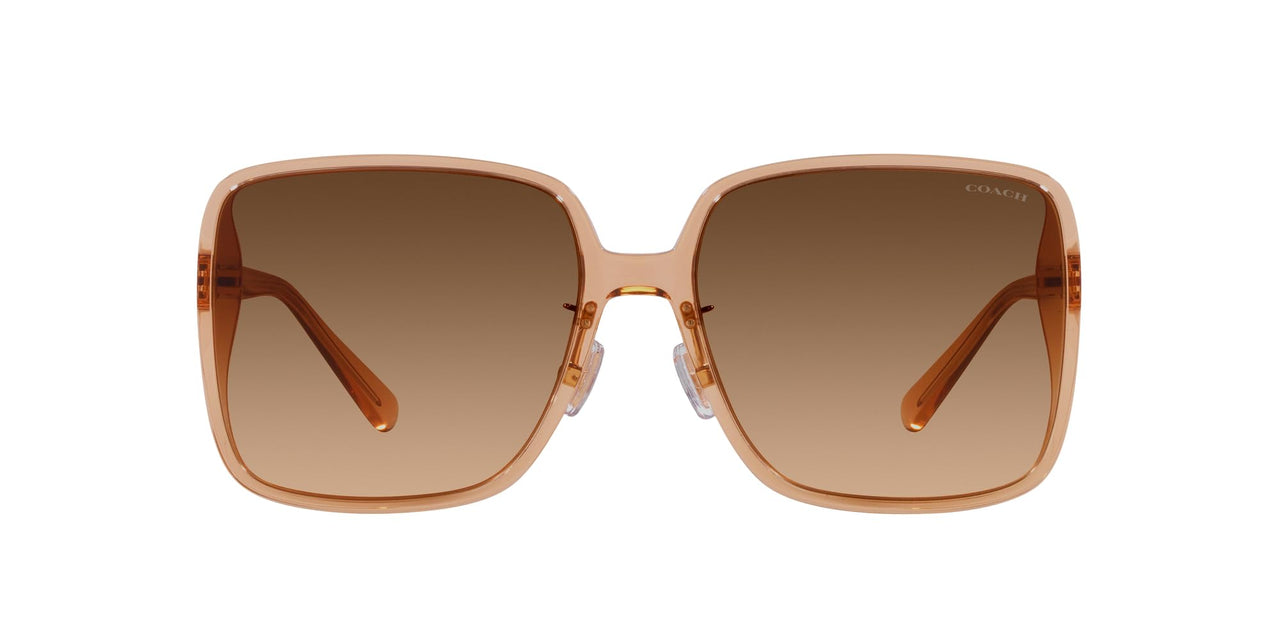 Coach HC8368D Sunglasses, Transparent Brown/Brown Gradient, 61 mm