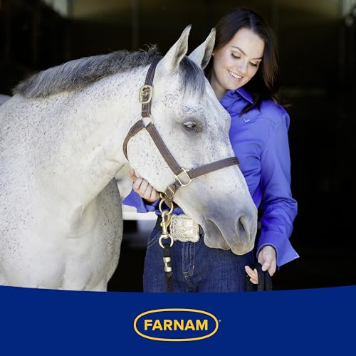 Farnam Leather New Easy-Polishing Glycerine Saddle Soap and Leather Saddle Cleaner, Protects and Preserves Leather, Cleans, Conditions and Polishes, 64 Oz.