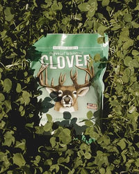 Thumbnail for Whitetail Institute Imperial Clover Deer Food Plot Seed for Spring or Fall Planting, Promotes Antler Growth and Attracts Deer, Heat, Cold and Drought Tolerant, 2 lbs (.25 Acres), White