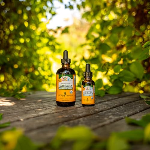 Herb Pharm Kids Certified-Organic Alcohol-Free Echinacea Glycerite Liquid Extract, 4 oz