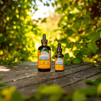 Thumbnail for Herb Pharm Kids Certified-Organic Alcohol-Free Echinacea Glycerite Liquid Extract, 4 oz