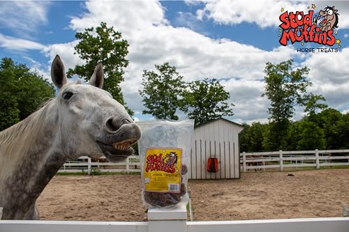 Stud Muffins 1045 Stud Muffins Horse Treats, 45 Oz Bag