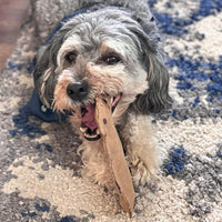 Thumbnail for SPOT Dura-Fused Leather Squirrel Dog Toy – Real Leather & Jute Fabric, Double-Stitched & Durable, Soft Stuffed Squeaky Interactive Chew Toy for Moderate Chewers, Small & Medium Dogs, 8in