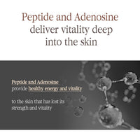 Thumbnail for [PKY] Pyunkang Yul Black Tea Boosting Serum for Anti-aging, Condensed Nutrition for Fine Line Care with Kombucha, Ginseng Fruit Extract, Zero-Irritation, Korean Skincare (1.52 Fl. Oz, 45ml)