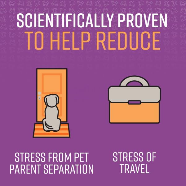 Sentry PET Care Sentry Calming Spray for Dogs, Uses Pheromones to Reduce Stress, Easy Spray Application, Helps Dogs with Separation, Travel, Loud Noises, and Anxiety, Packaging May Vary