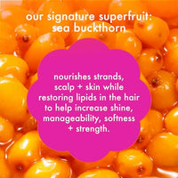 Thumbnail for amika normcore signature shampoo, 60ml , 2.03 Fl Oz (Pack of 1)