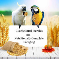 Thumbnail for Lafeber's Classic Nutri-Berries for Macaw / Cockatoo 3.5 lb. Tub