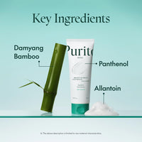 Thumbnail for PURITO Mighty Bamboo Panthenol Cleanser, Gentle Face Wash for Moisturizing, Makeup Remover, for Sensitive Skin, Vegan & Cruelty-Free Face Cleanser150ml / 5.07 fl. Oz.