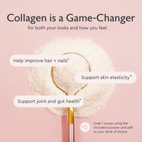 Thumbnail for Alaya Multi Collagen Powder - Type I, II, III, V, X Hydrolyzed Collagen Peptides Protein Powder Supplement with MSM + GC (Unflavored) (40 Servings)