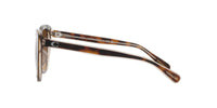 Thumbnail for COACH Sunglasses HC 8365 U 574274 Ch566 Tortoise/Transparent B