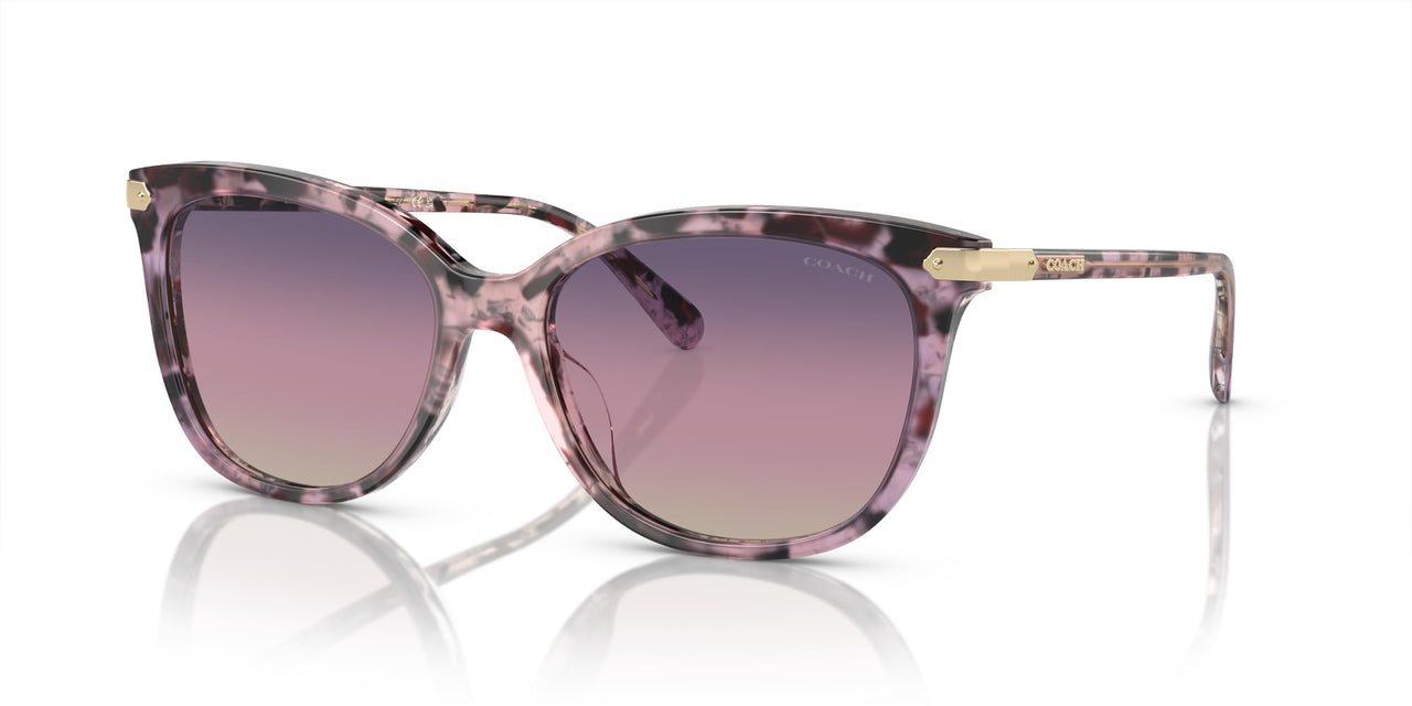 COACH Sunglasses HC 8378 U 5777U6 Cl926 Iris Tortoise Purple Gra
