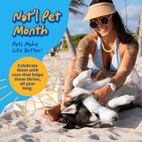 Thumbnail for Veterinary Formula Clinical Care Antiseptic and Antifungal Medicated Shampoo for Dogs & Cats, 16 Fl Oz – Helps Alleviate Scaly, Greasy, red Skin – Paraben, Dye, Soap-Free (1 Pack)