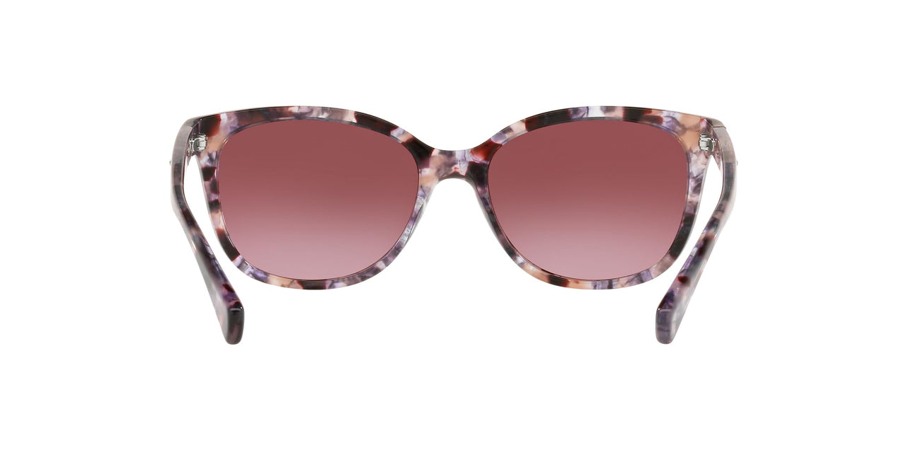 Coach HC8132 Sunglasses, Purple Tortoise/Burgundy Gradient, 57 mm