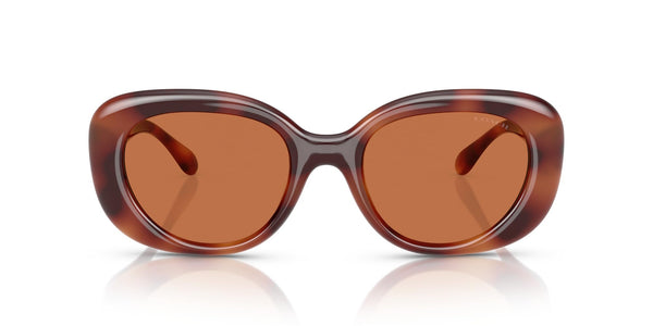 COACH Sunglasses HC 8391 U 577473 Caramel Tortoise/Brown Solid Polyamide Stand