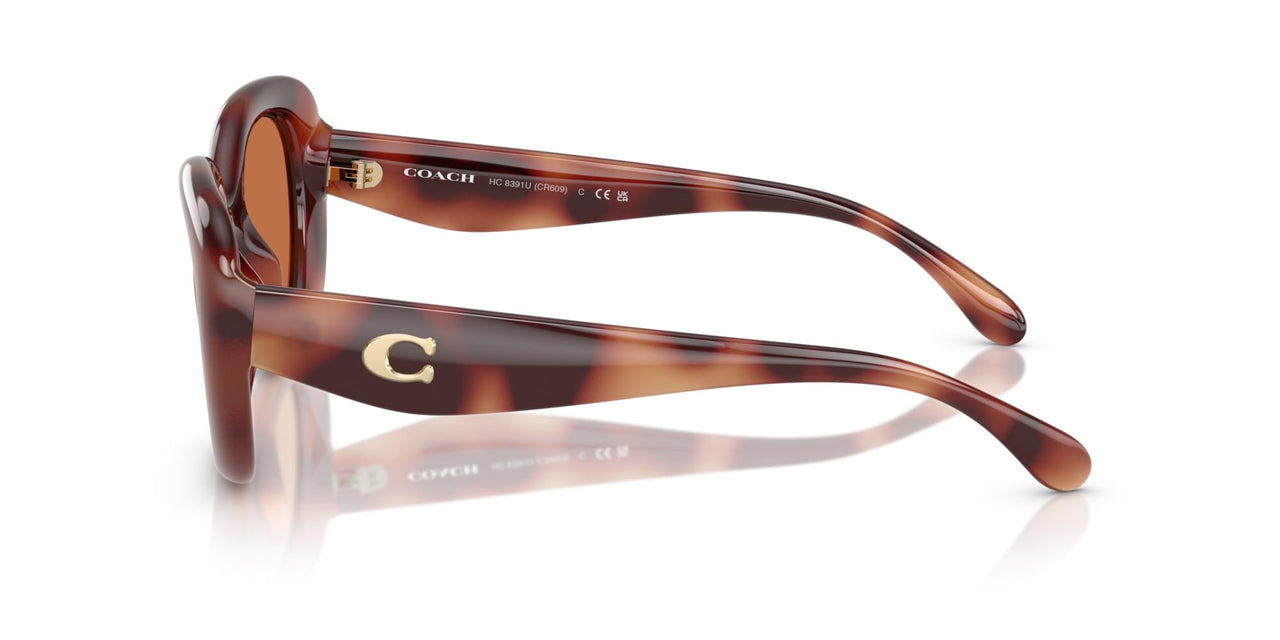 COACH Women's HC8391U Sculpted C Hardware Universal Fit Oval Sunglasses, Caramel Tortoise/Brown Solid, 53 mm