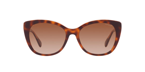 Coach HC8365U Universal Fit Sunglasses, Tortoise/Transparent Pink/Brown Pink Gradient, 55 mm