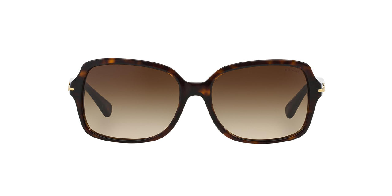 Coach Sunglasses HC 8116 500113 L087 Blair Dark Tortoise Brown