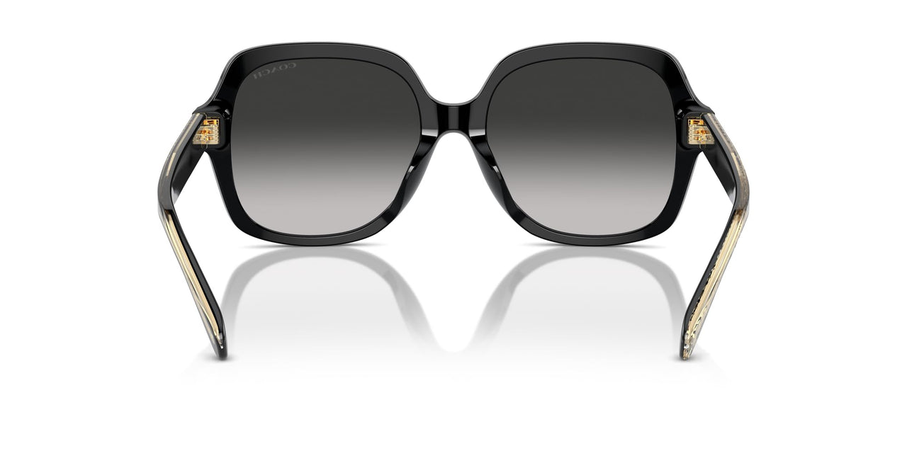 COACH Women's HC8395F Low Bridge Fit Square Sunglasses, Black/Grey Gradient, 56 mm
