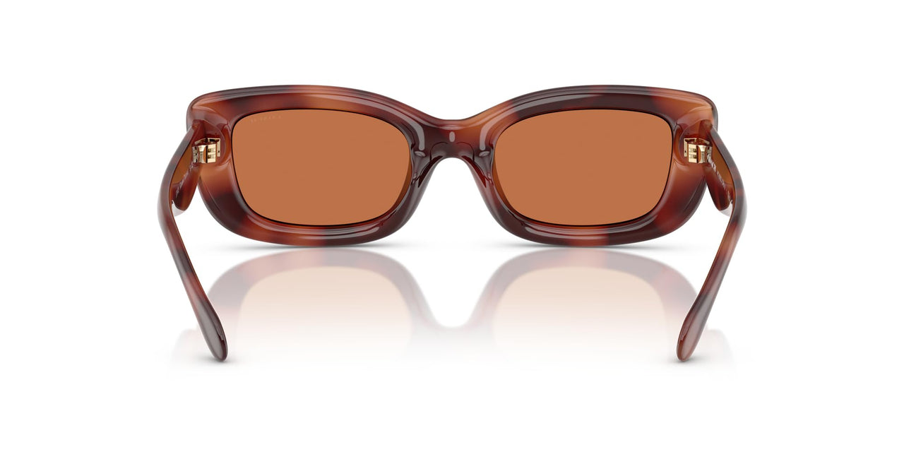 COACH Sunglasses HC 8390 U 577473 Caramel Tortoise/Brown Solid Polyamide Stand