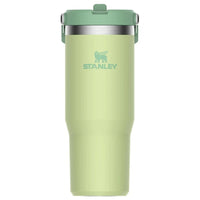 Thumbnail for Stanley IceFlow Flip Straw Tumbler with Handle 30 oz | Twist On Lid and Flip Up Straw | Leak Resistant Water Bottle | Insulated Stainless Steel |BPA-Free | Citron