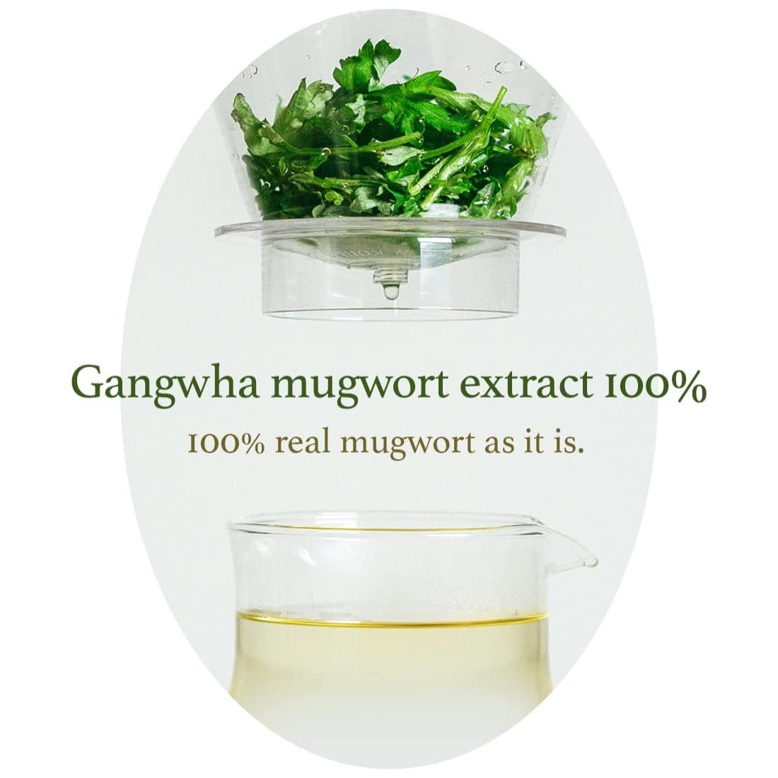 [I'm From] Miniatures of Rice Toner, Mugwort Essence, Fig Boosting Essence (Mugwort), Stocking Stuffers, Gifts for Women