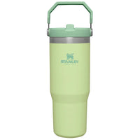 Thumbnail for Stanley IceFlow Flip Straw Tumbler with Handle 30 oz | Twist On Lid and Flip Up Straw | Leak Resistant Water Bottle | Insulated Stainless Steel |BPA-Free | Citron