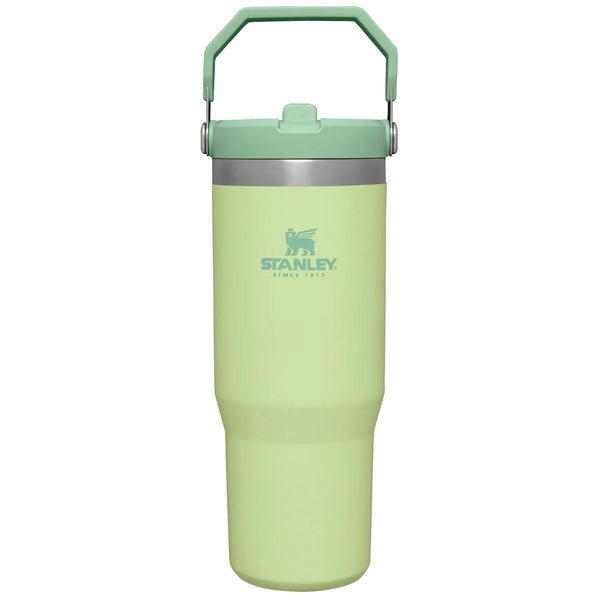 Stanley IceFlow Flip Straw Tumbler with Handle 30 oz | Twist On Lid and Flip Up Straw | Leak Resistant Water Bottle | Insulated Stainless Steel |BPA-Free | Citron