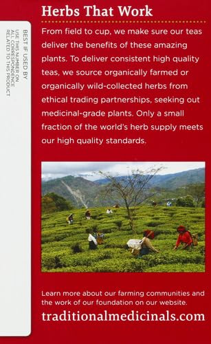 Traditional Medicinals Organic Echinacea Plus Seasonal Tea (Pack of 1), Promotes Immune Function, 16 Tea Bags
