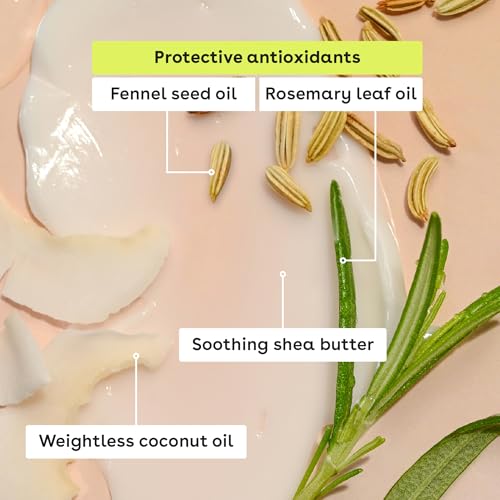 eos 100% Natural & Organic Lip Balm Sticks - Vanilla Bean, All Natural Lip Balm, All-Day Moisture, Dermatologist Recommended, 0.14 oz, 2-Pack