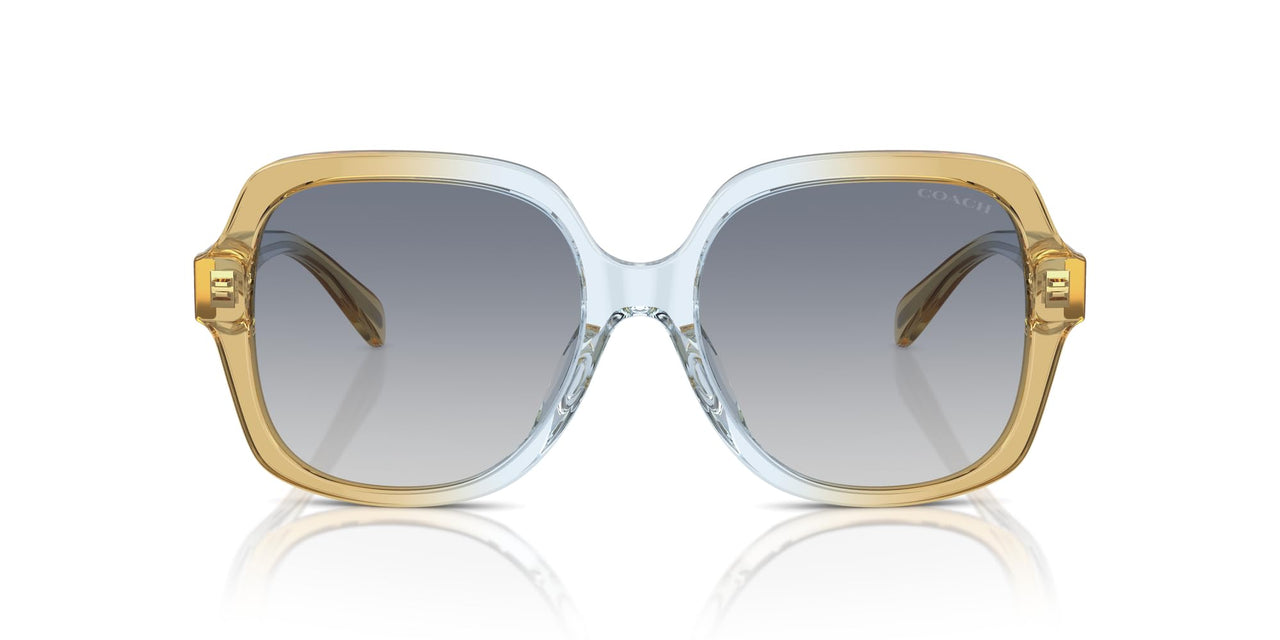COACH HC8395F Low Bridge Fit Sunglasses, Cider/Baby Blue/Blue Gradient, 56 mm