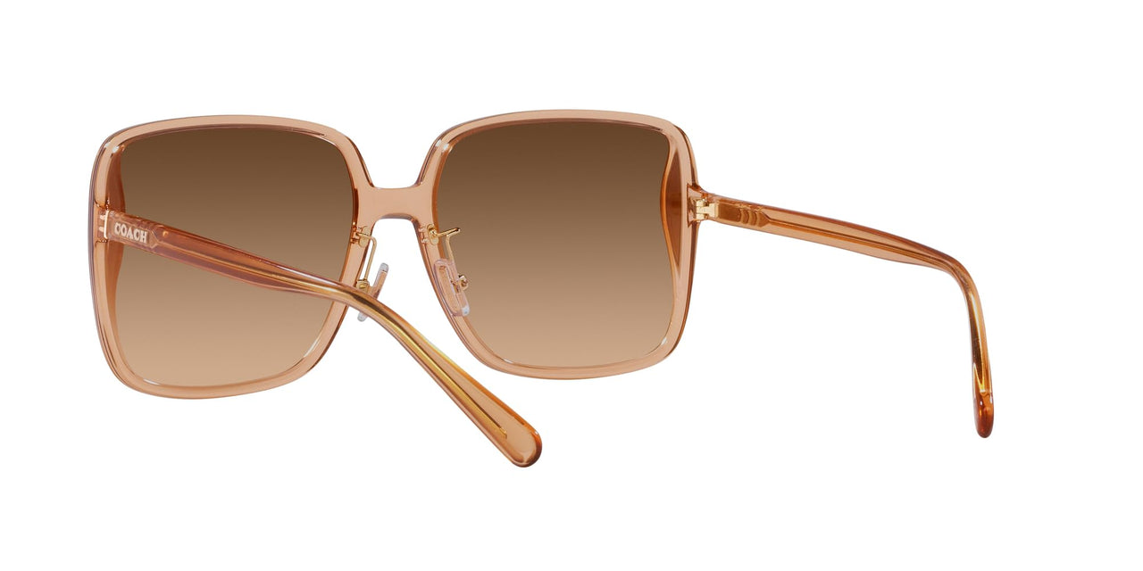 Coach HC8368D Sunglasses, Transparent Brown/Brown Gradient, 61 mm
