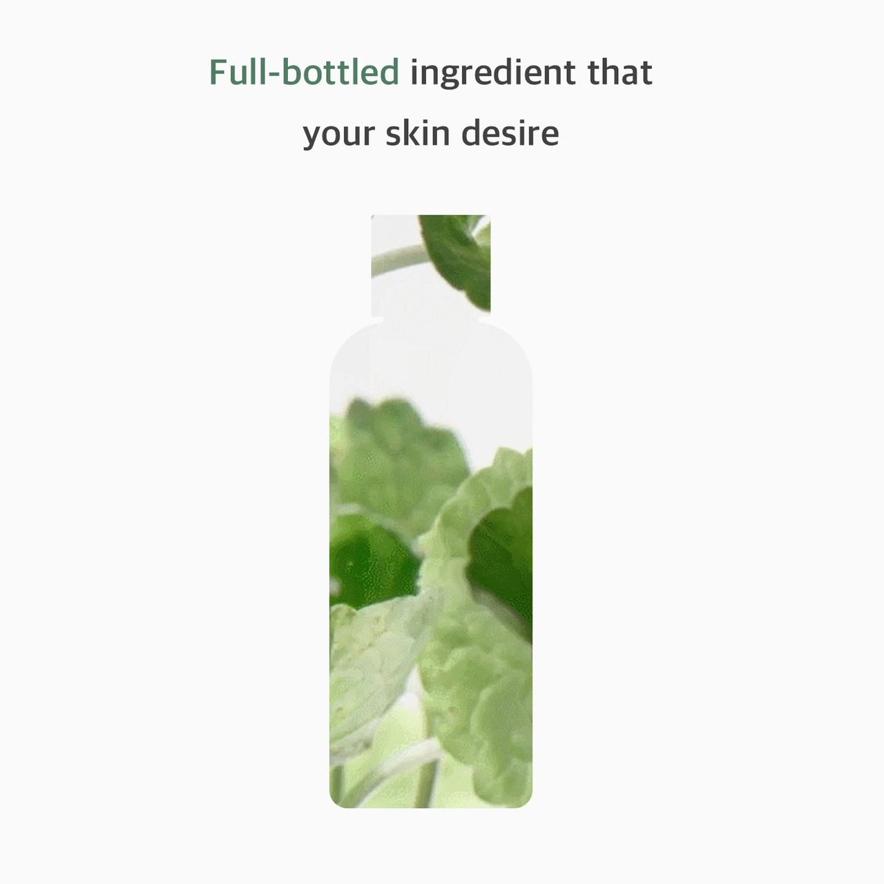 mixsoon Centella Asiatica Toner-Soothing and Hydrating Facial Toner, CICA Extract, Gentle Formula for Sensitive, Balanced Skin 300ml / 10.14 fl.oz. Korean Glass Skin Care