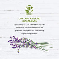 Thumbnail for Avalon Organics Therapy Scalp Normalizing Shampoo, Tea Tree Mint, 14 Oz