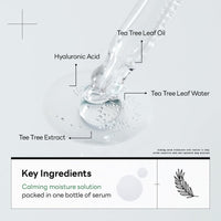 Thumbnail for Mediheal Teatree Calming Serum 1.35 fl.oz - Skin Calming and Sebum Care & Deep Moisturization - with Hyaluronic Acid