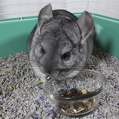 Vitakraft Cocktail Mixed Fruit Chinchilla Treat, 4.5 oz