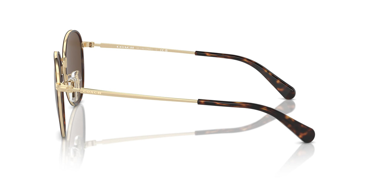 COACH Men's HC7163 Round Sunglasses, Light Gold/Dark Tortoise/Brown Solid, 52 mm