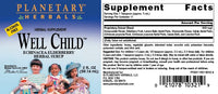 Thumbnail for Planetary Herbals Well Child, Alcohol Free, Echinacea-Elderberry Herbal Syrup - 2 Fluid oz