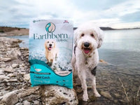 Thumbnail for Earthborn Holistic Coastal Catch Herring Meal & Vegetables Grain-Free Dry Dog Food 12.5 lb